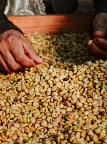 a person picking nuts from a tray