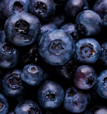 closeup of blueberries